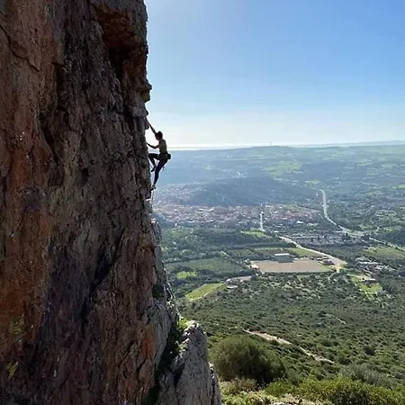 Domus Shardana غونيسا